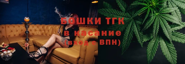 твердый Михайлов