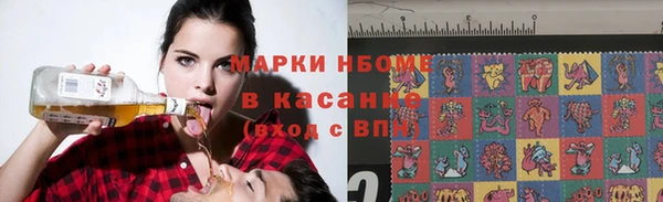 твердый Михайлов