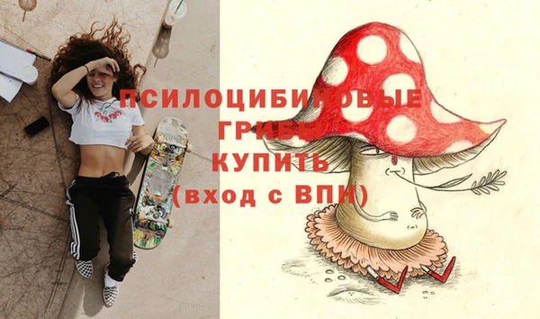 твердый Михайлов