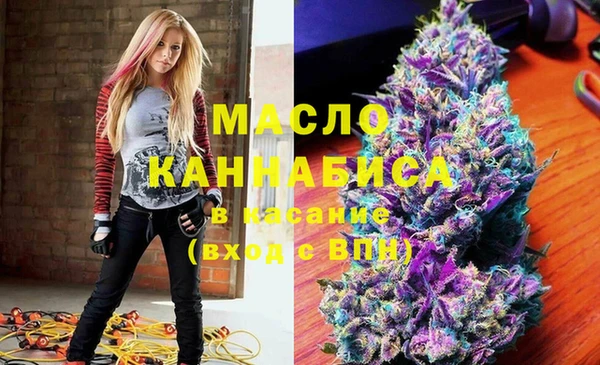 твердый Михайлов
