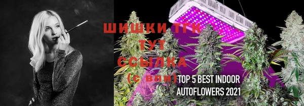 стафф Дмитровск