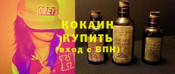твердый Михайлов