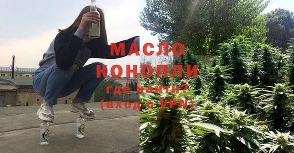 твердый Михайлов